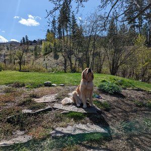 Meet your Posher, Rose